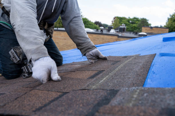 Roof Gutter Cleaning in Richgrove, CA