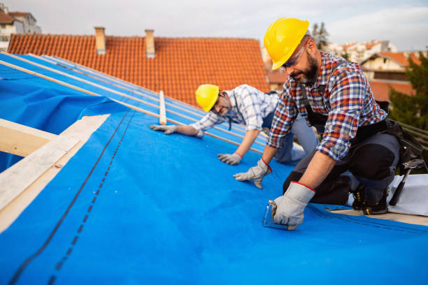Best Roof Gutter Cleaning  in Richgrove, CA
